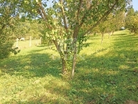 Zalaegerszeg Nyaraló 26