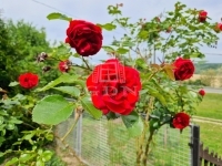 Nagykapornak Nyaraló 32