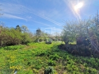 Petrikeresztúr Családi ház 16