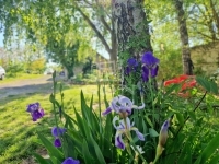 Zalavég Családi ház 41