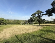 Zalaegerszeg Telek 14