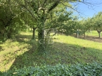 Zalaegerszeg Nyaraló 24