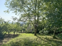 Zalaegerszeg Nyaraló 28