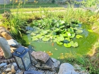 Alsórajk Családi ház 7