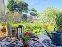 Alsórajk Családi ház 9