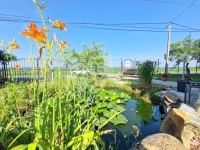 Alsórajk Családi ház 6