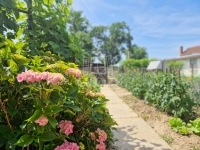 Csesztreg Családi ház 27