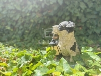 Zalaegerszeg Családi ház 19