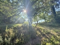 Zalatárnok Családi ház 1