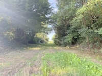 Zalatárnok Családi ház 0