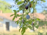 Zalatárnok Családi ház 45