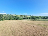 Zalaegerszeg Telek 10