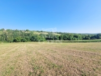 Zalaegerszeg Telek 2