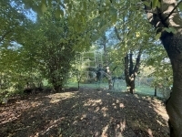 Zalaegerszeg Telek 6