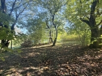 Zalaegerszeg Telek 3