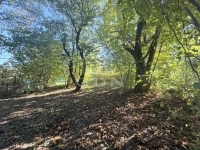 Zalaegerszeg Telek 9