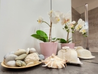 Zalaegerszeg Lakás (téglaépítésű) 27