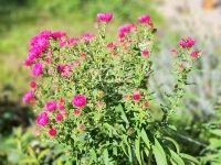 Babosdöbréte Family House 32