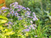 Babosdöbréte Family House 25