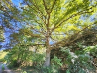 Babosdöbréte Family House 38