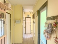 Zalaegerszeg Lakás (téglaépítésű) 2