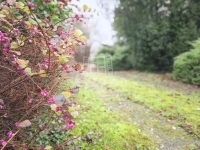 Gellénháza Családi ház 57