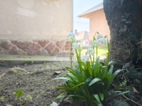 Csatár Családi ház 7