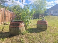 Mikosszéplak Családi ház 22