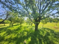 Zalaegerszeg Családi ház 22