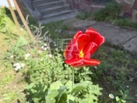 Zalaegerszeg Családi ház 13