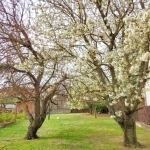 Sopron Családi ház 1