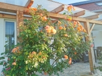 Böhönye Family House 24