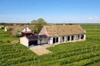 Szekszárd 家庭别墅 11