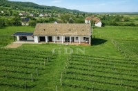 Szekszárd 家庭别墅 12