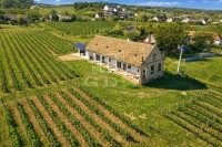 Szekszárd 家庭别墅 14