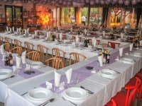 Gárdony Vendéglátás 4