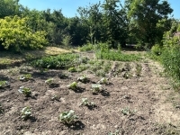 Baracska Családi ház 2