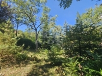 Budapest XII. kerület Lakás (téglaépítésű) 15