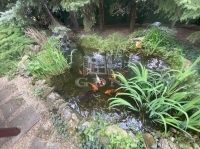 Budapest XXII. kerület Családi ház 19