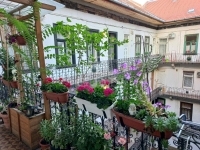 Budapest VII. kerület 公寓房（砖头） 1