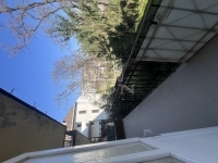 Budapest XIII. kerület Locuinta (caramida) 1