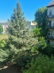 Budapest X. kerület Lakás (téglaépítésű) 10