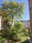 Budapest XIII. kerület Lakás (téglaépítésű) 3