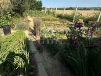 Nagyberki 商业用 - 旅游行业 17