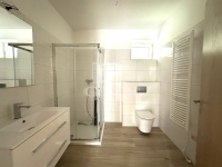 Kaposvár 公寓房（砖头） 14