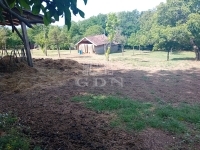 Igal Tanya 30