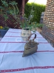 Igal Tanya 16
