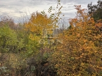 Dunaalmás Дача 3