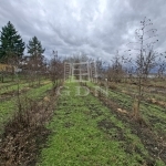 Nagyigmánd Zona agricola - 23.000.000 HUF