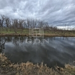 Nagyigmánd Zona agricola 0